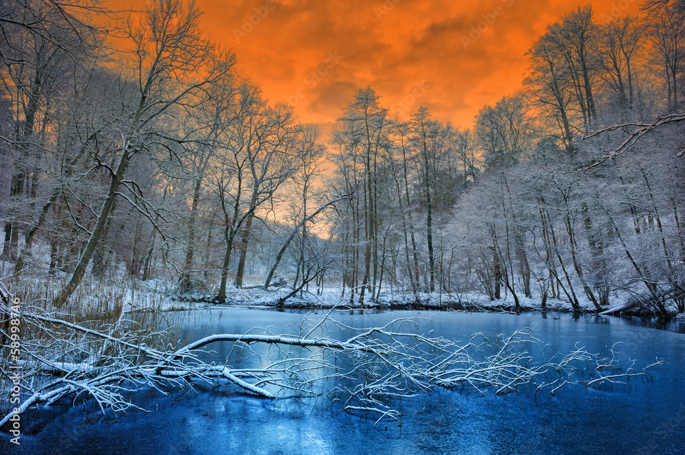 冬季森林上空壮观的橙色日落
