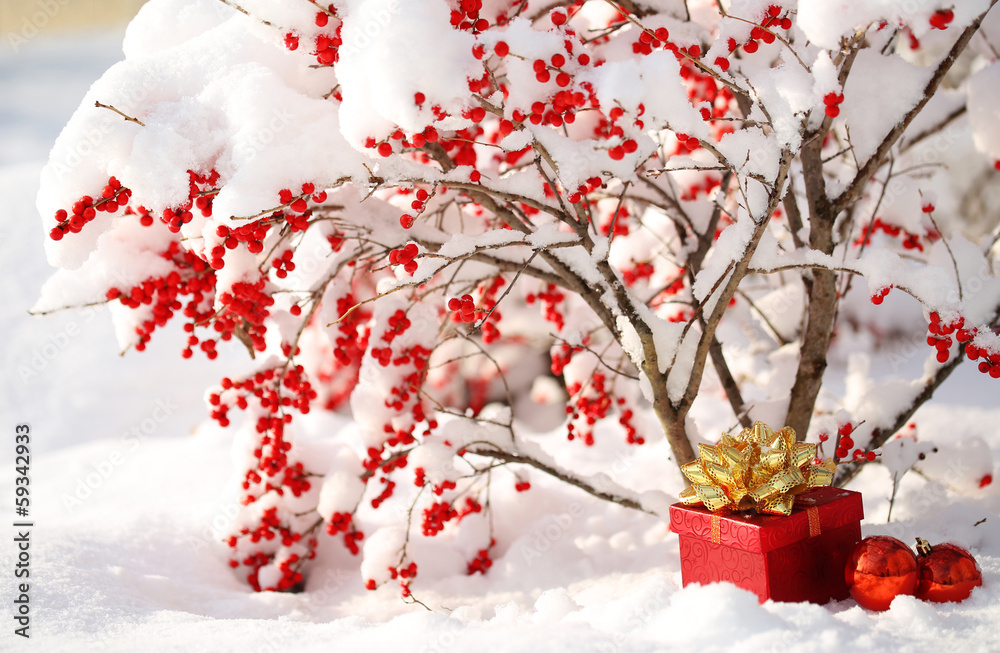 雪覆盖的冬青树下的礼盒和圣诞球