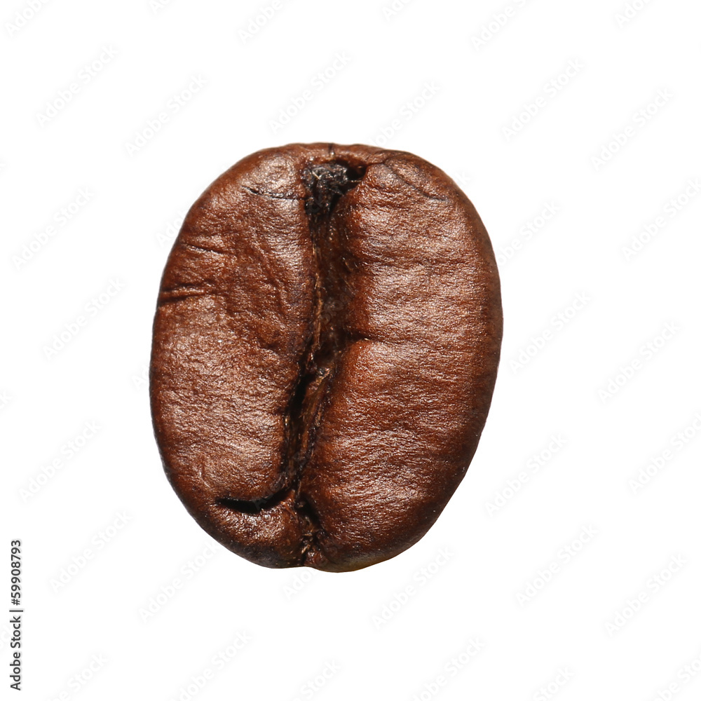 咖啡豆隔离