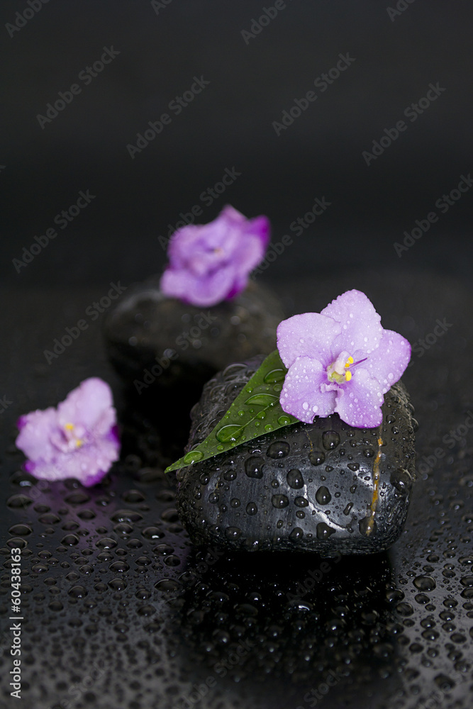 黑色背景上有叶子、花朵和水滴的黑色石头