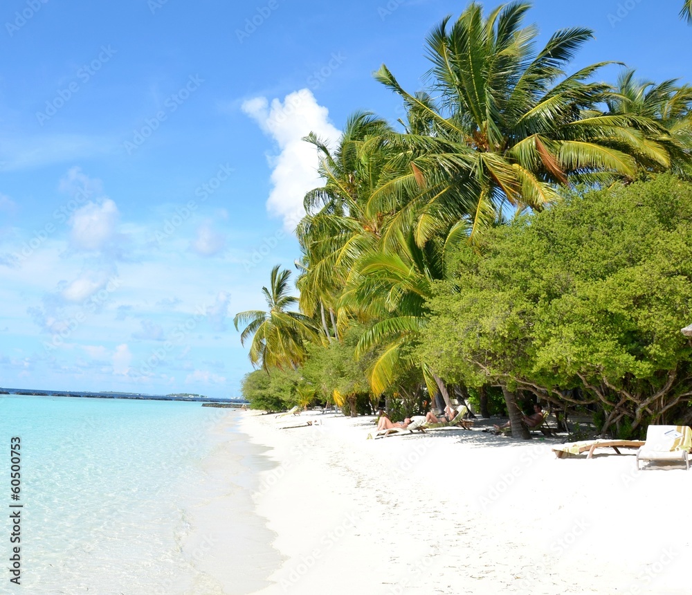 美丽棕榈的白色沙滩