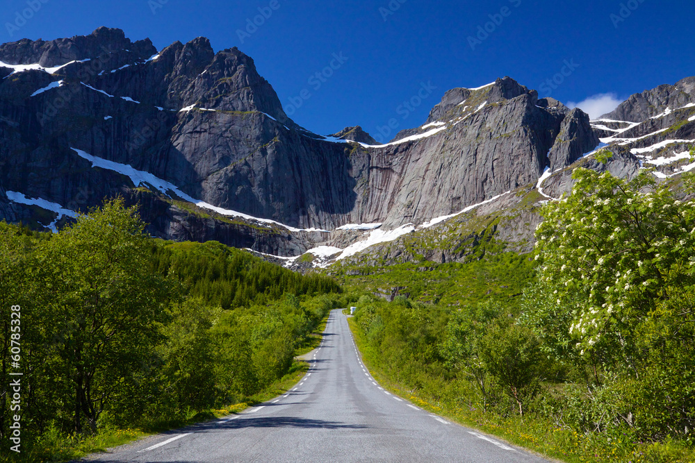 通往Nusfjord的道路