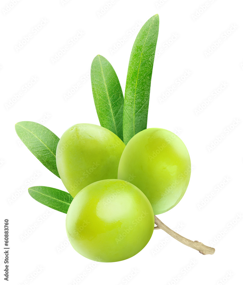Isolated olives. Branch with leaves and three green olive fruits isolated on white background