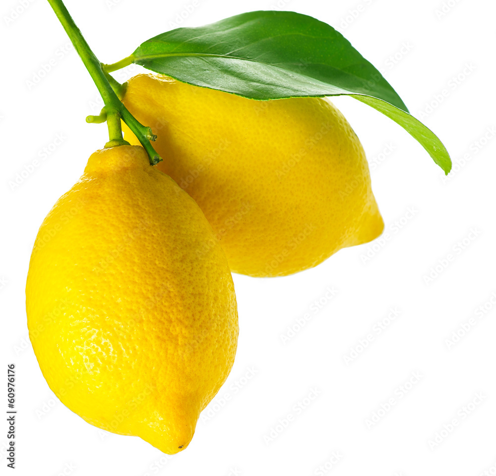 在新鲜成熟的白柠檬上分离的柠檬