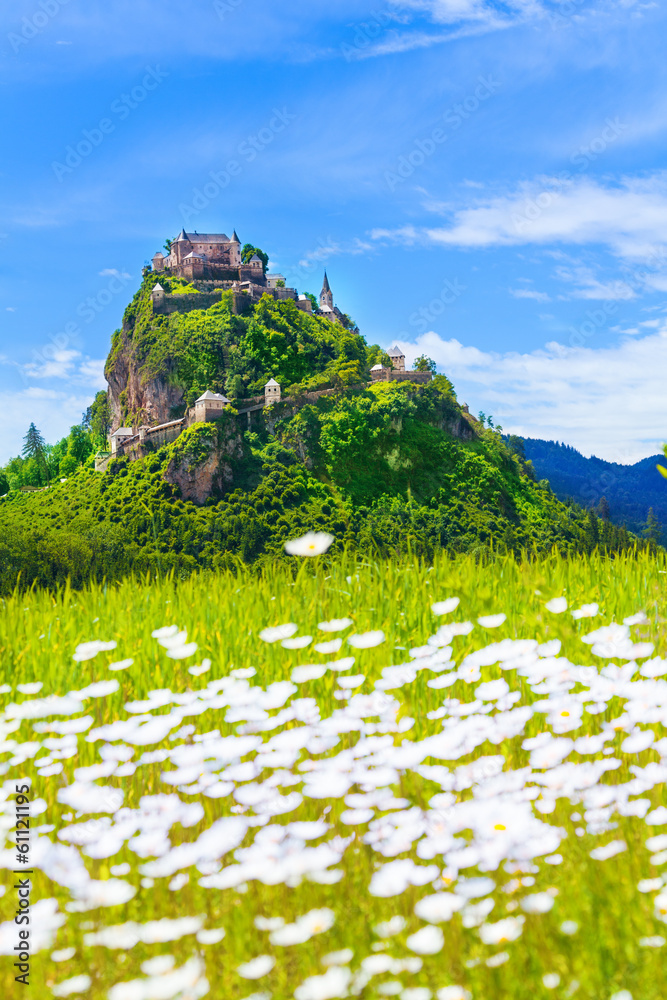 Hochosterwitz castle and chamomile field