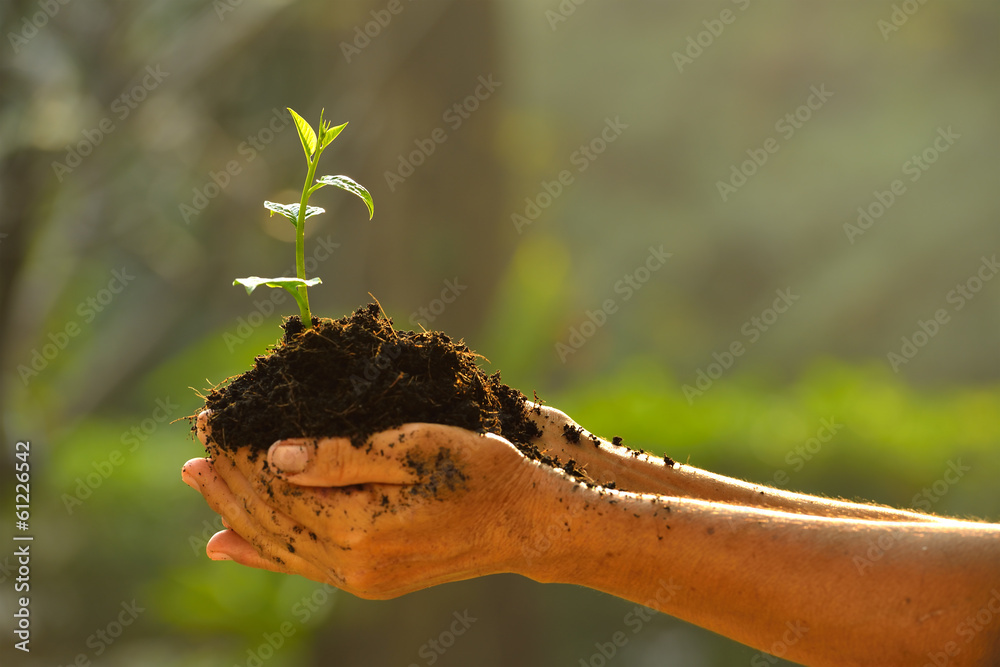 手牵一株绿色的年轻植物。
