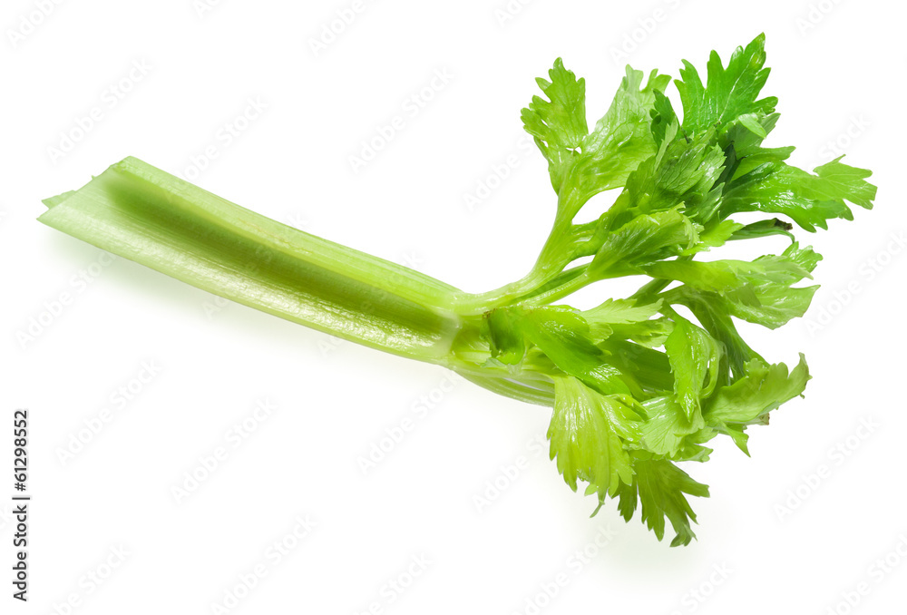 Celery. Piece isolated on white