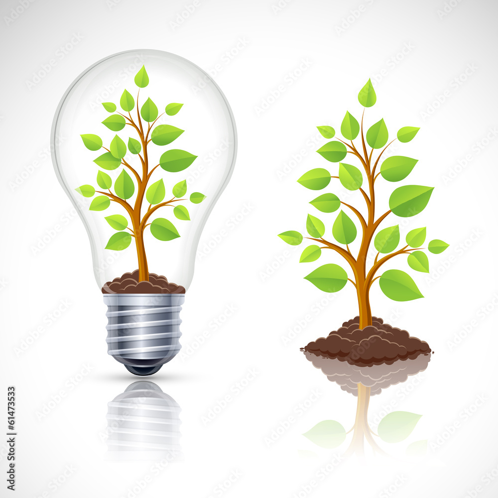 Green plant in light bulb with reflection. Vector