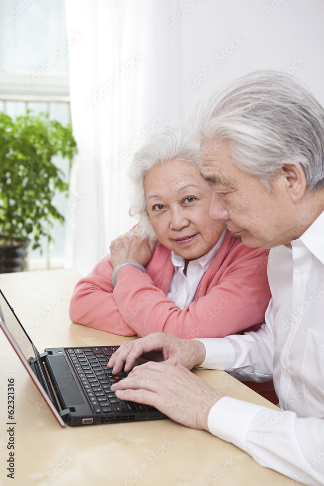 。一对使用笔记本电脑的老年夫妇。