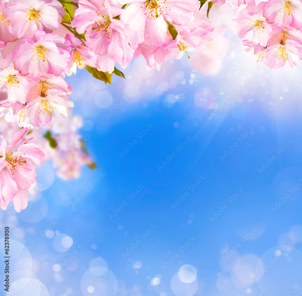 Kirschblüten Hintergrund mit Lichteffekten