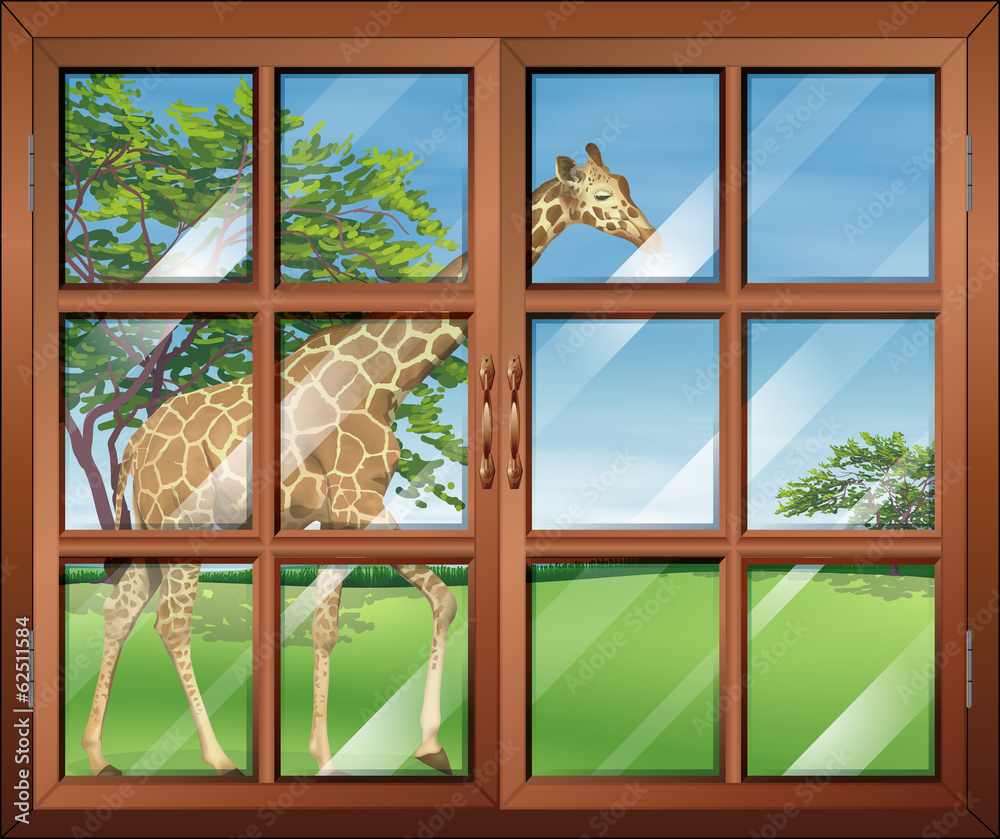 一扇可以看到长颈鹿的封闭窗户