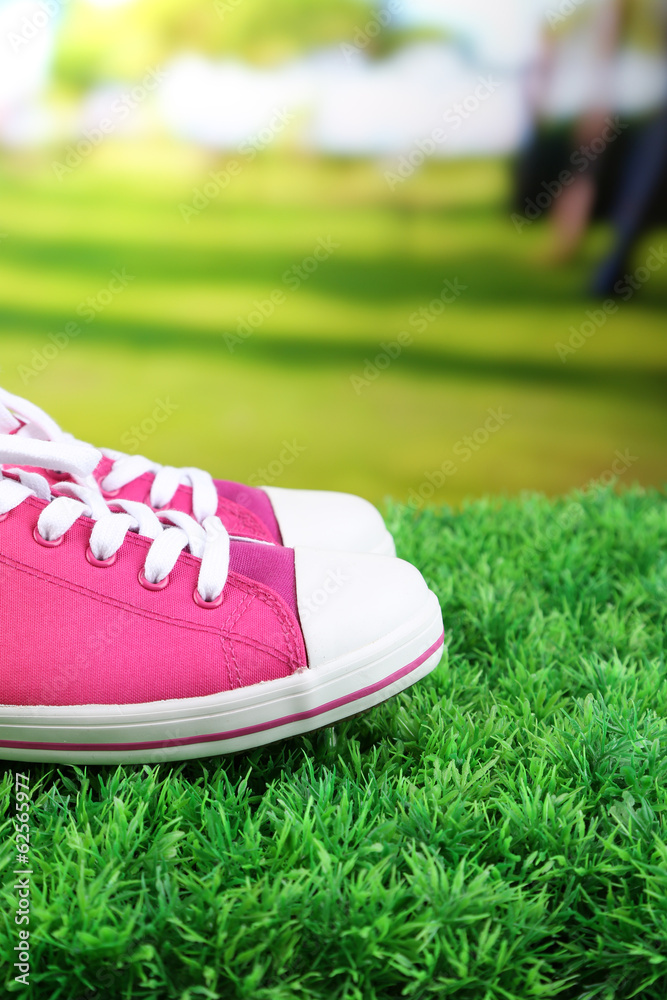 美丽的秋葵鞋，绿色草地上，明亮的背景