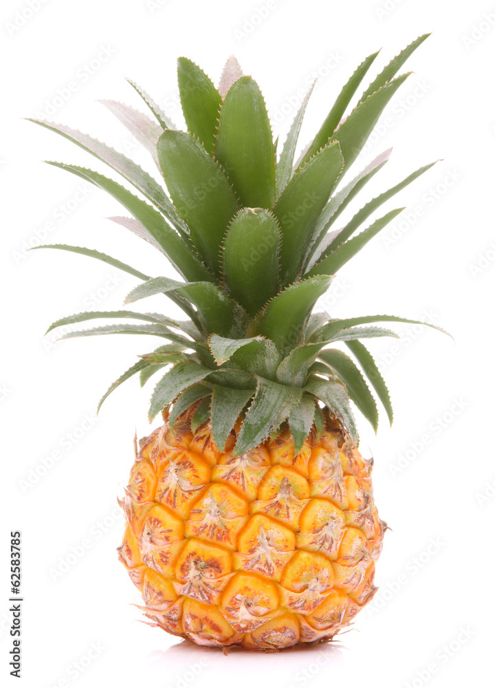 菠萝热带水果或ananas