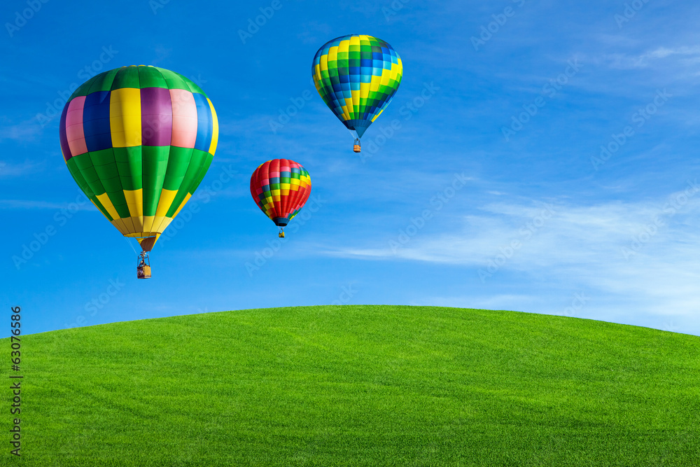 绿地上空的热气球