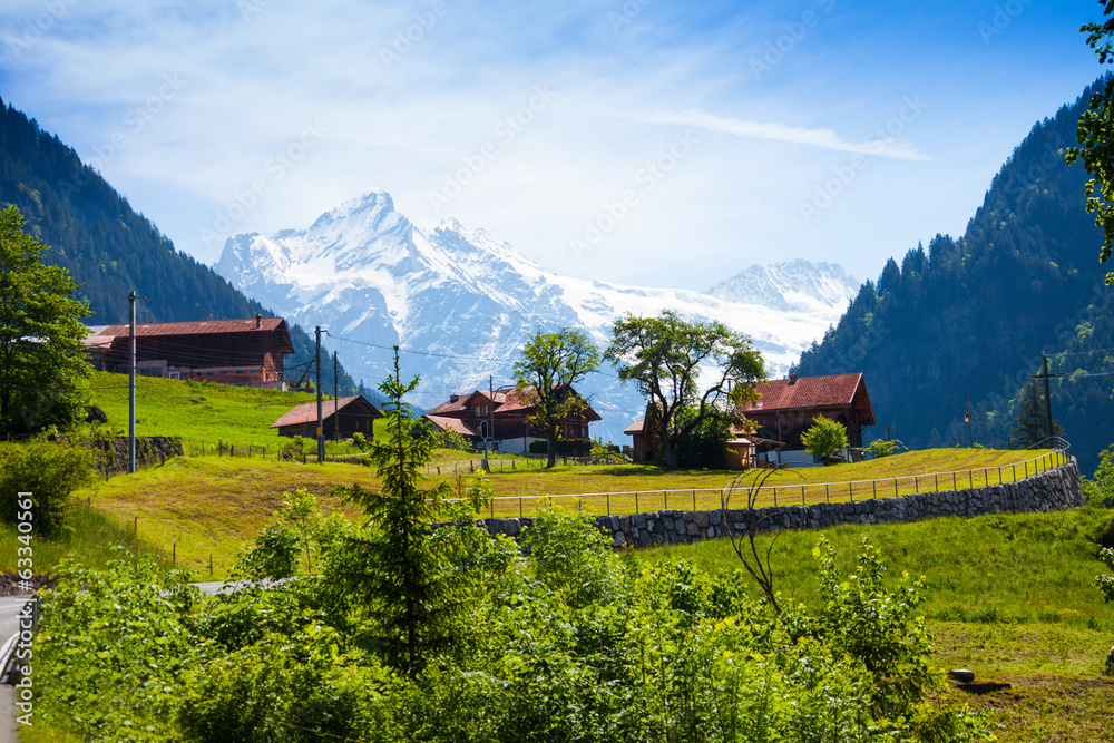 阿尔卑斯山附近有房子的传统乡村