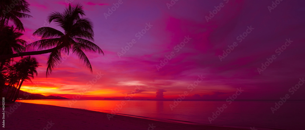 热带日落与棕榈树剪影全景