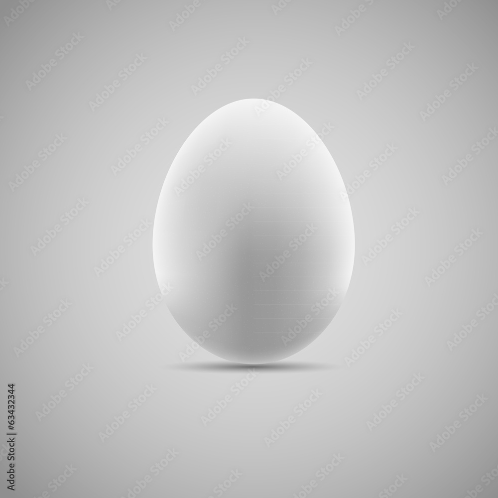 鸡蛋写实矢量插图