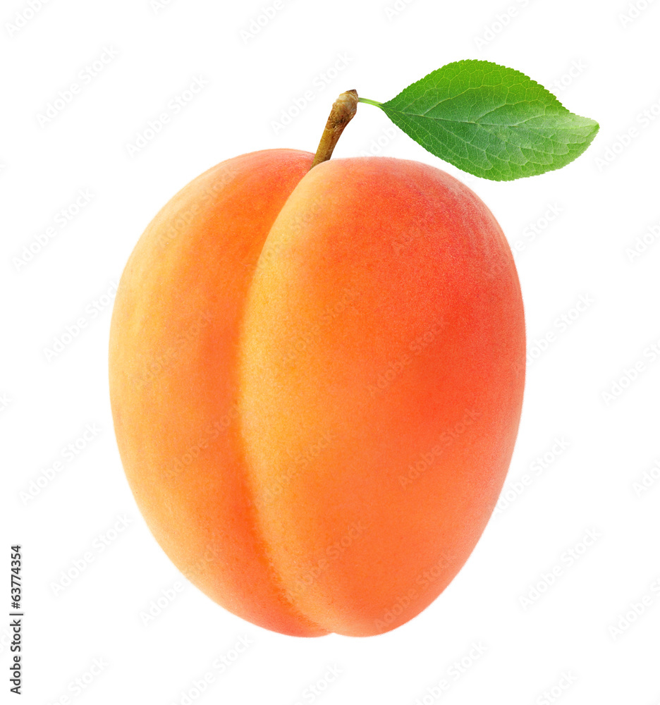 分离的杏子。一种新鲜的杏子果实，在白色背景上分离出叶子