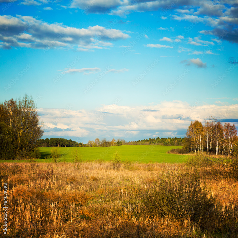 Beautiful Landscape. Belarus Countryside.