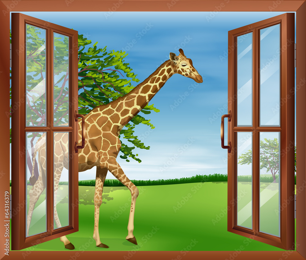 A giraffe outside the window