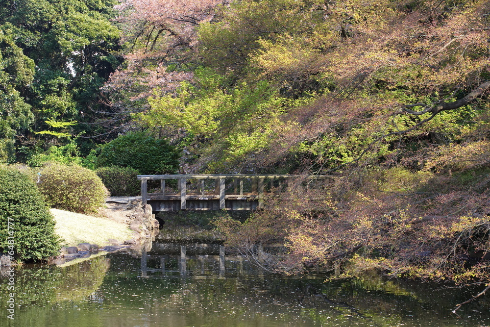春季美丽的日本花园和景观