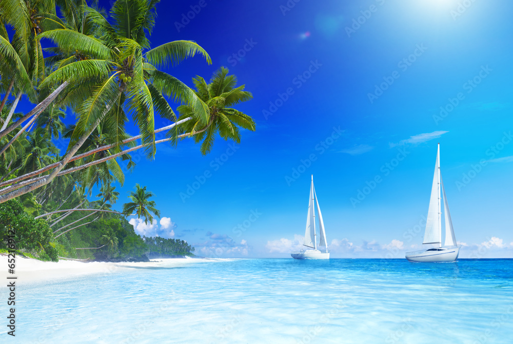 海滩上的帆船和棕榈树
