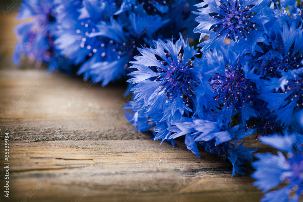 木质背景上的矢车菊。野生的蓝色花朵
