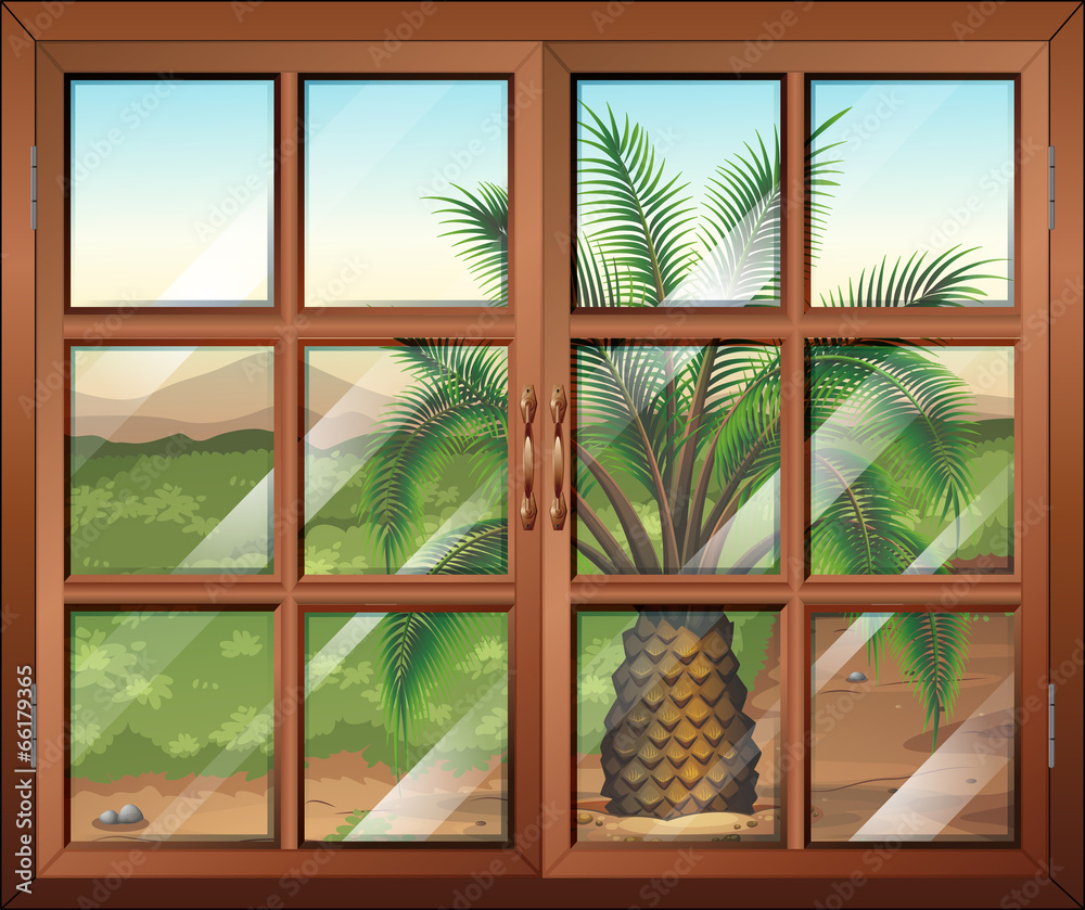 一扇可以看到室外棕榈树的窗户