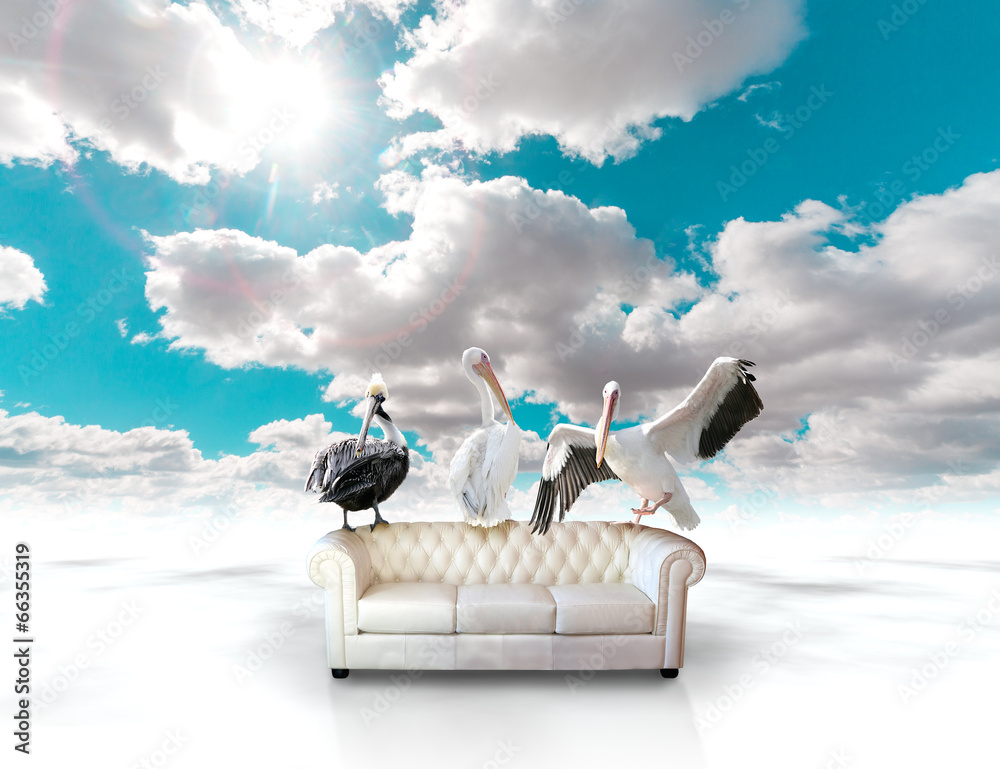 Sofa concept. Landscape and birds
