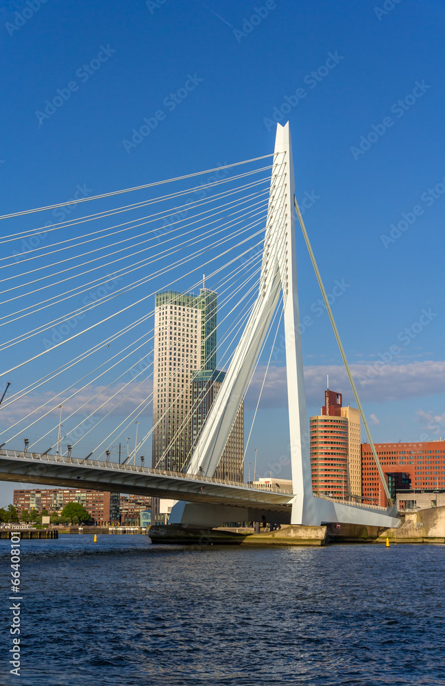 荷兰鹿特丹伊拉斯谟大桥景观
