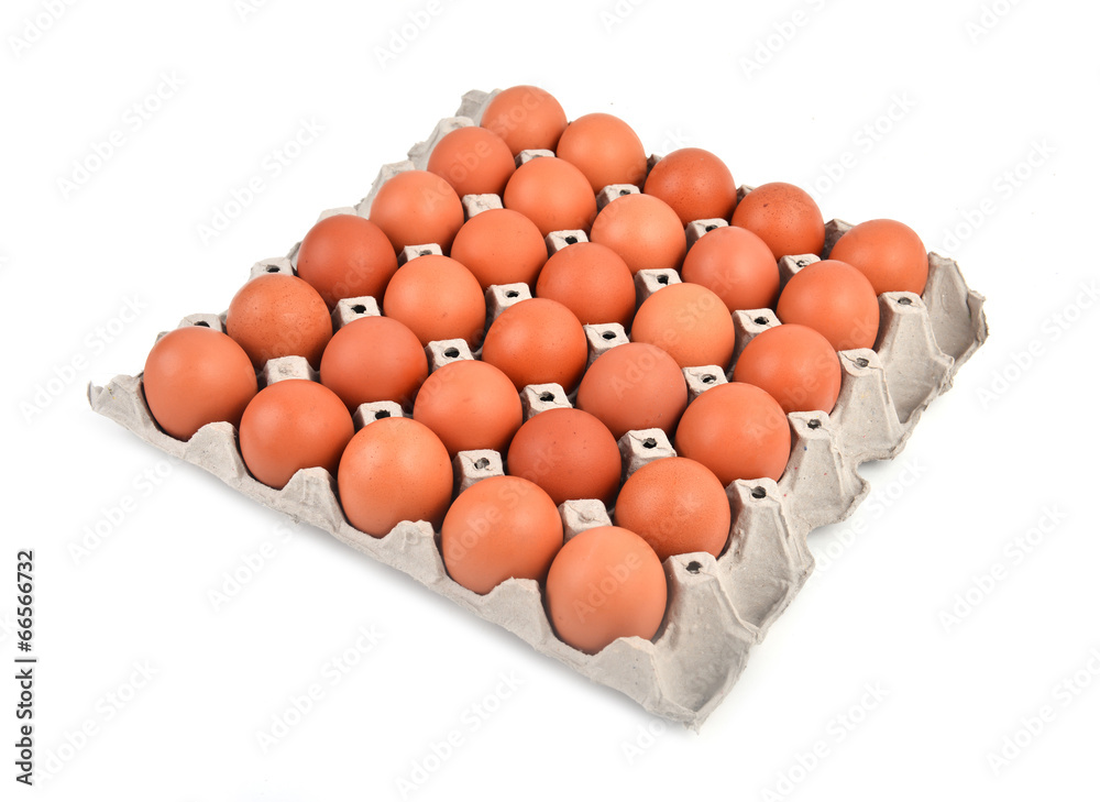 纸盘中的鸡蛋