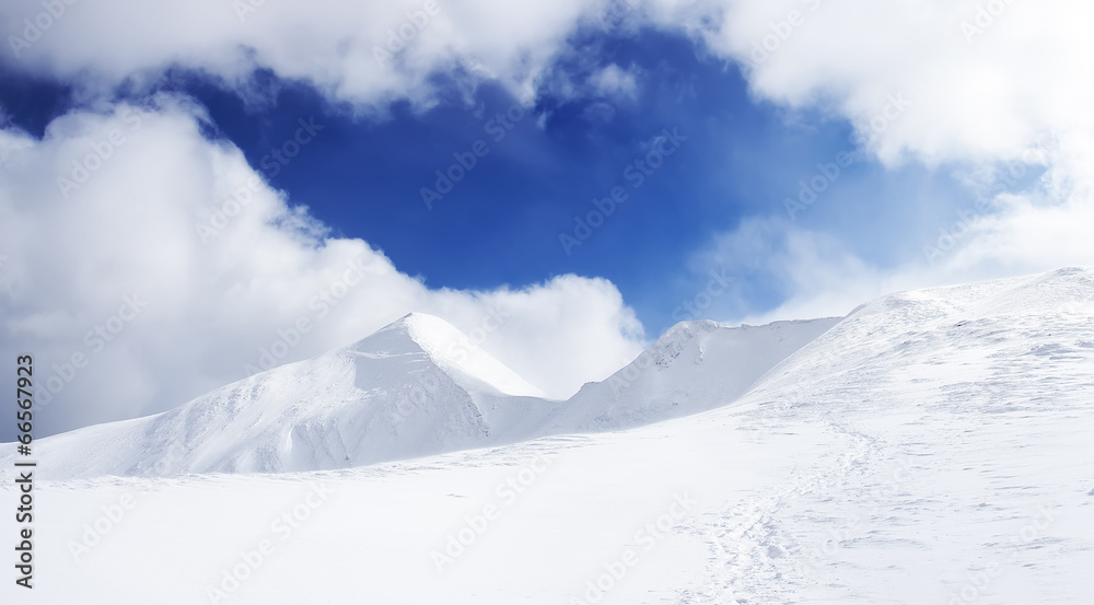 暴风雪期间的雪原。美丽的冬季景观