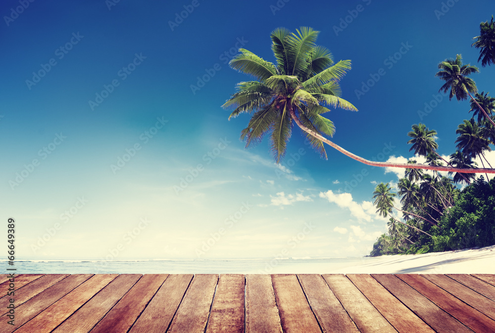 带木板的海滩和棕榈树