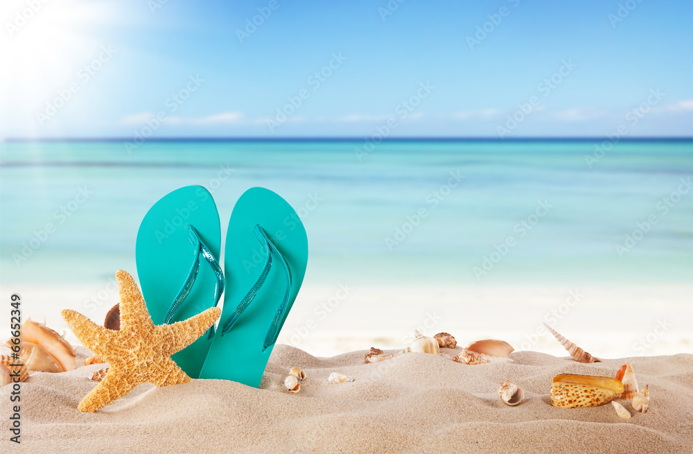 带蓝色凉鞋和贝壳的夏日海滩