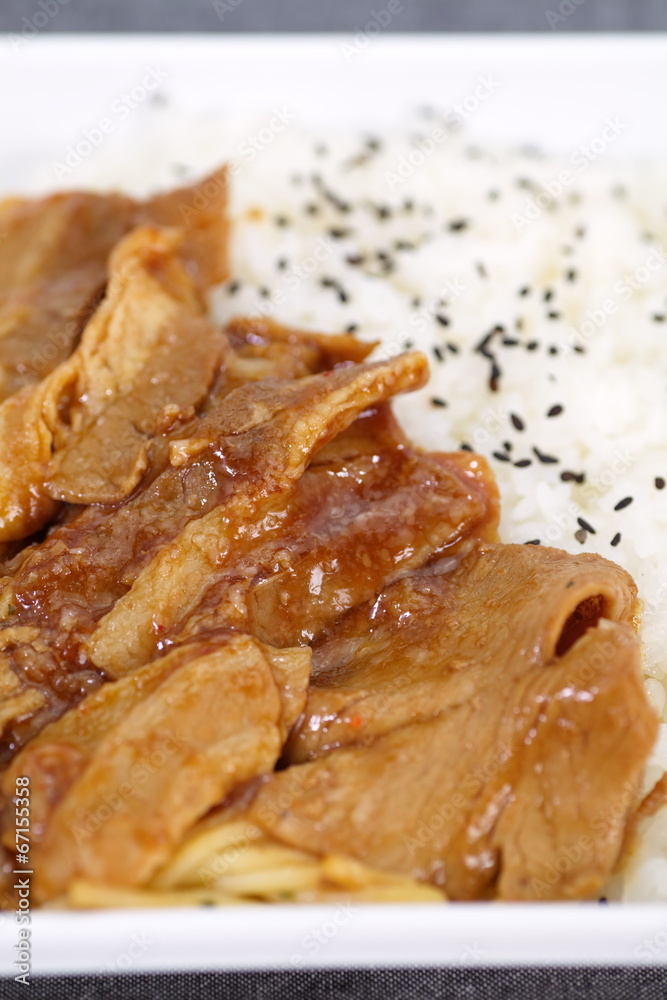 Japanese fast food grilled meat with white rice