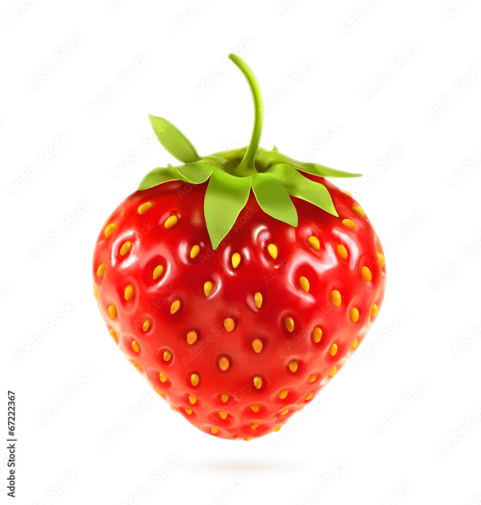 成熟的草莓，矢量插图
