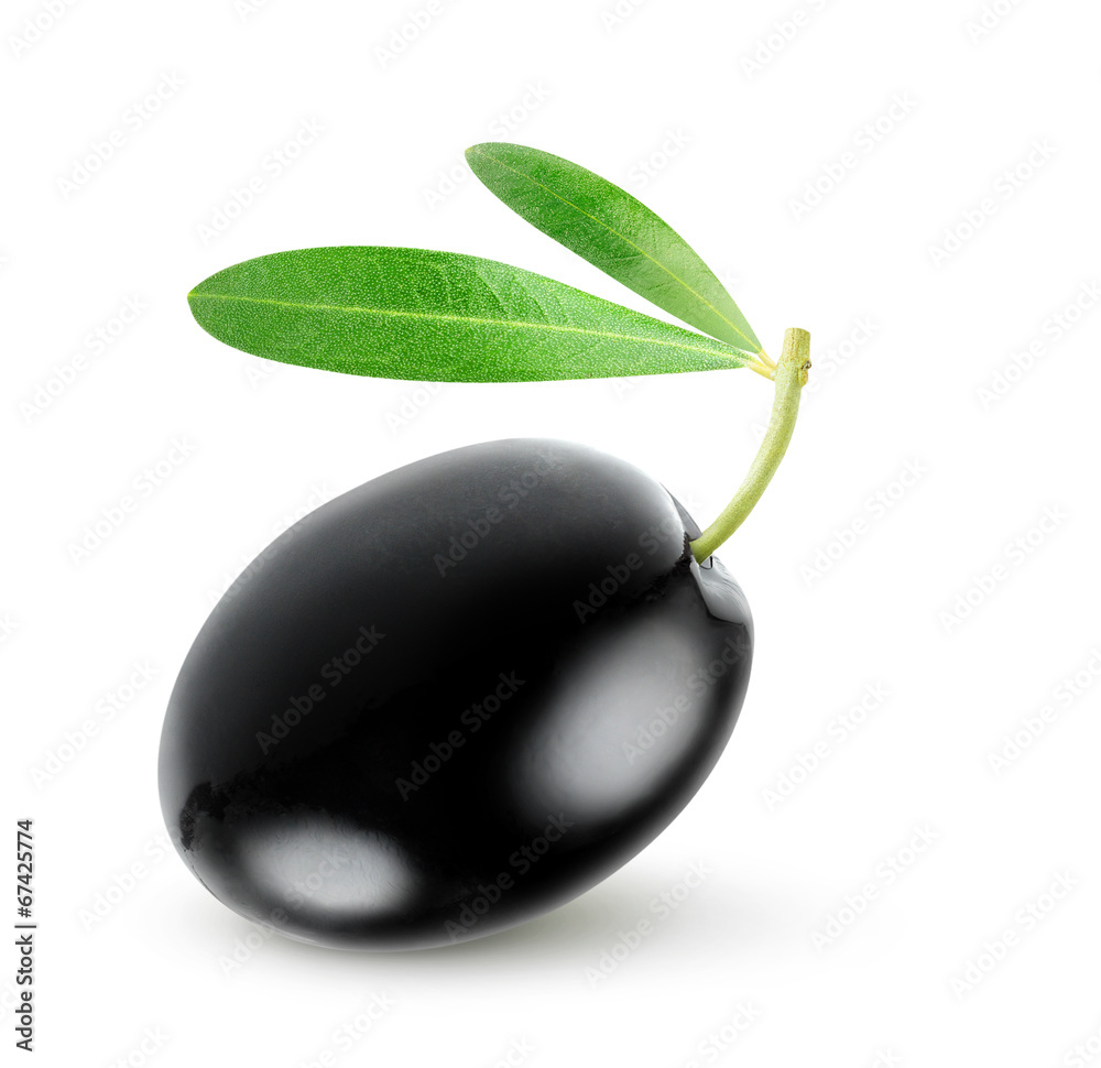 孤立的橄榄。单一的黑色橄榄果实，叶孤立在白色背景上