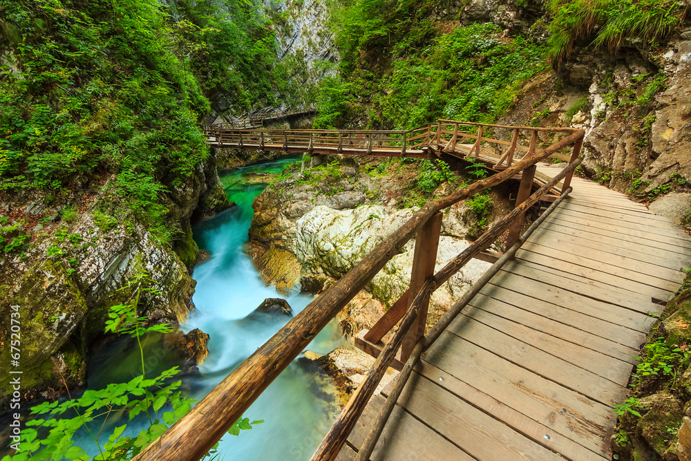 欧洲斯洛文尼亚文特加峡谷木桥和绿色河流