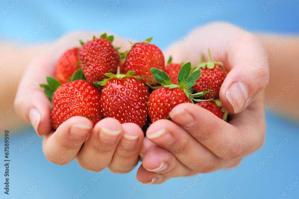 手牵新鲜草莓