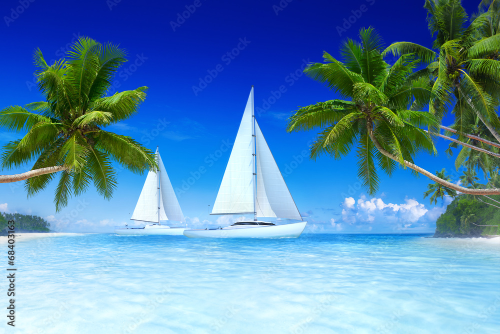 海滩和棕榈树上的帆船