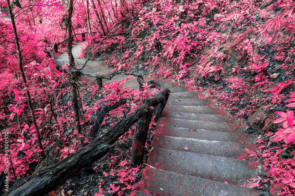 想象一下有楼梯的粉红色森林