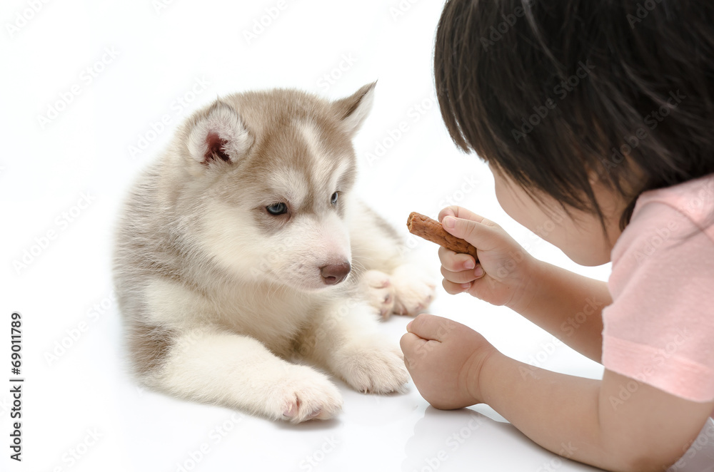 亚洲小男孩喂养小狗