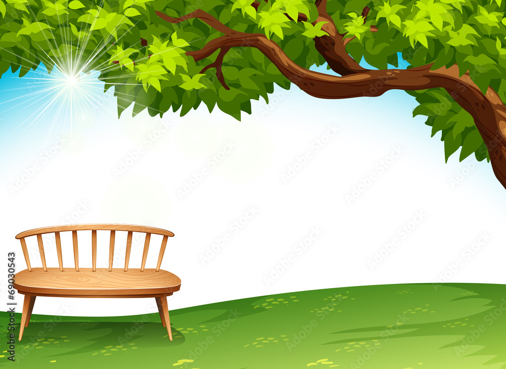 树附近的一把椅子