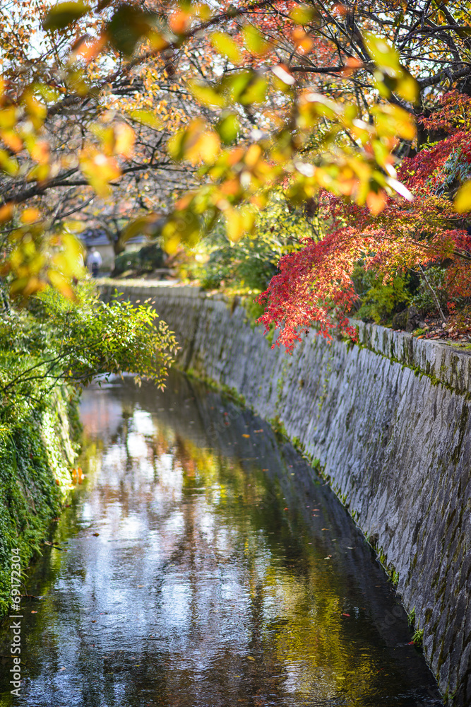 秋季日本京都的哲学家之路