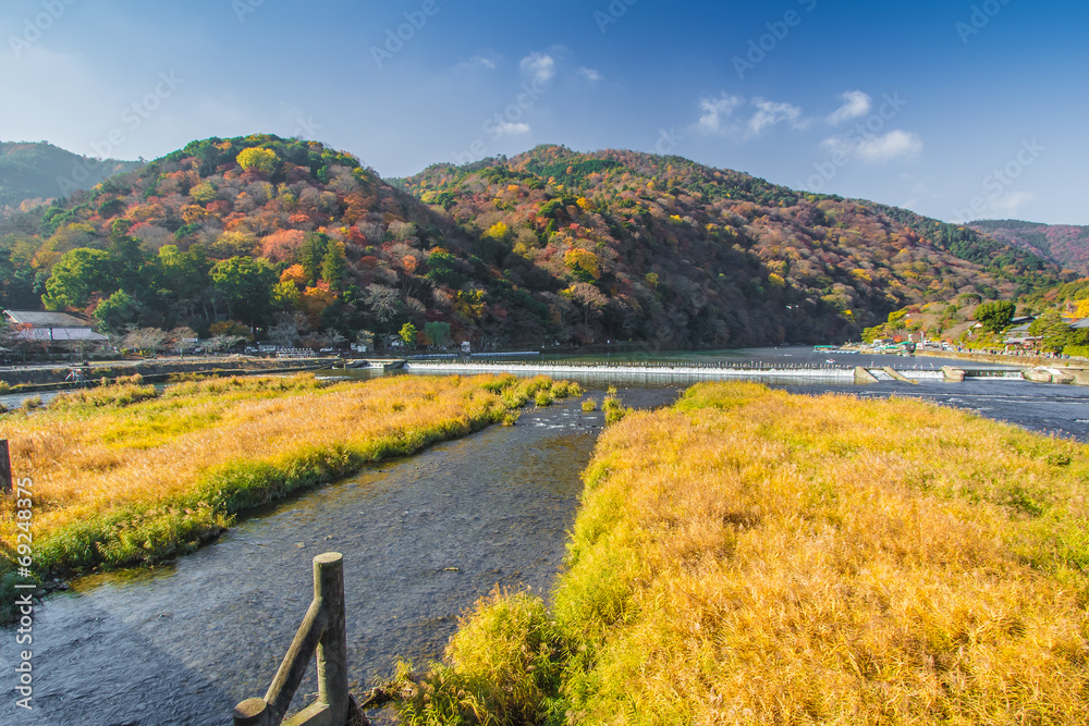 日本京都荒山