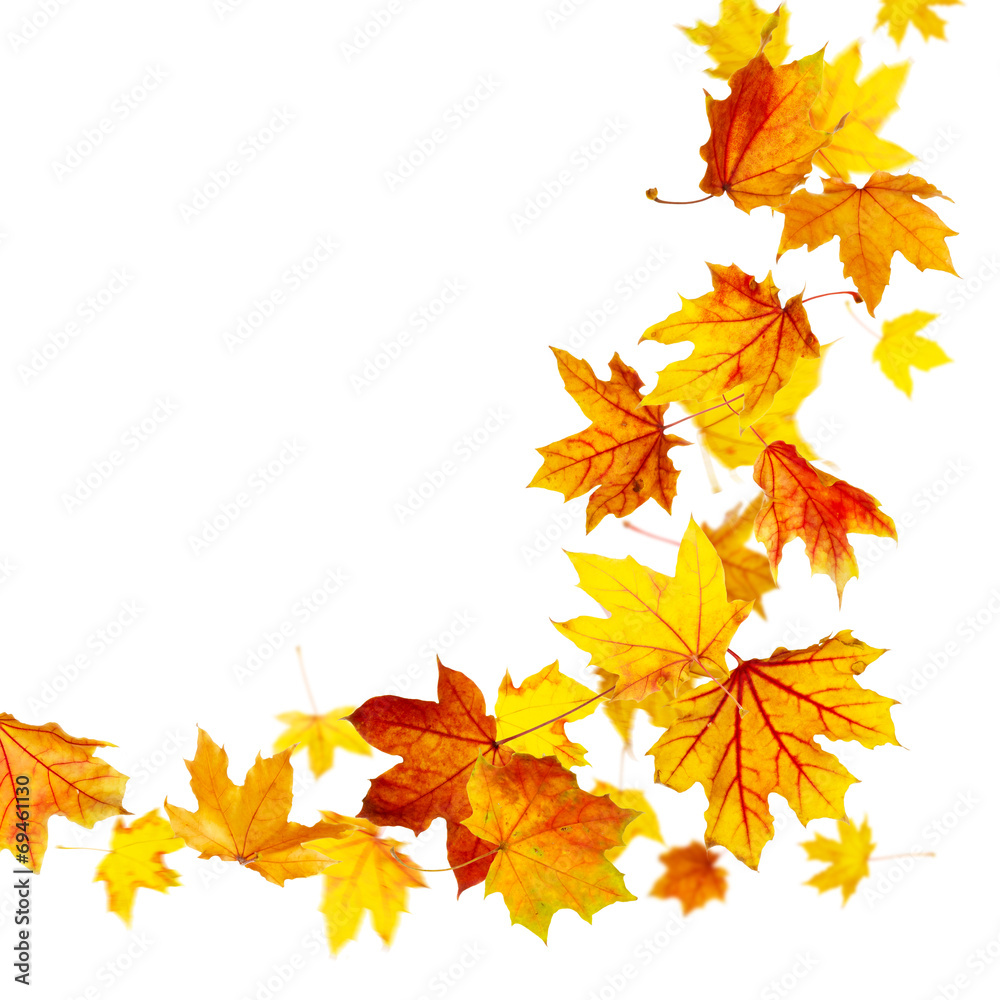 五彩缤纷的秋叶孤立地飘落在白色的大地上
