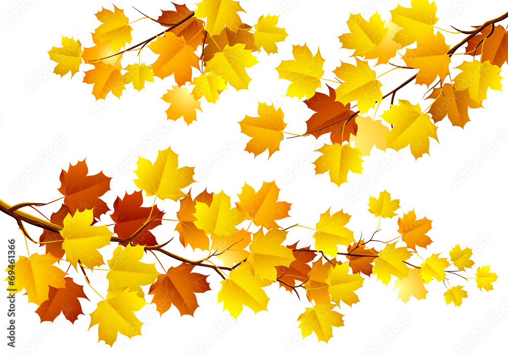 树枝上的秋叶。矢量