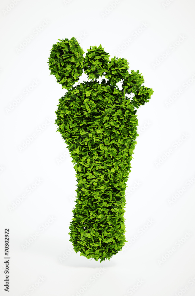 ecological footprint symbol