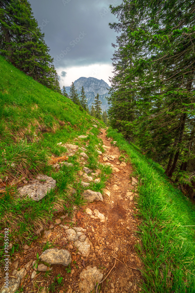 德国巴伐利亚阿尔卑斯山脉的山路