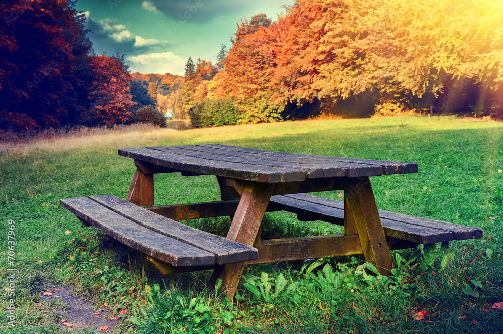 Lonely picnic place in autumn forest